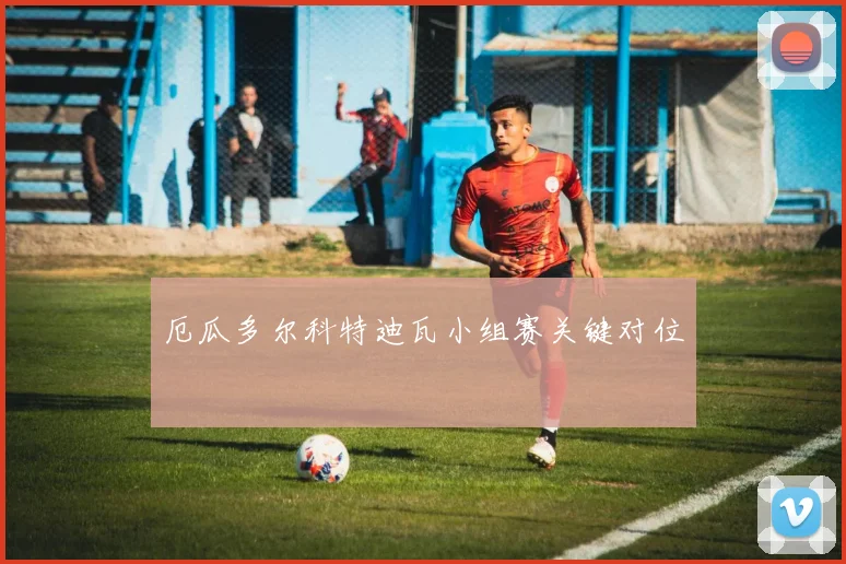 厄瓜多尔科特迪瓦小组赛关键对位